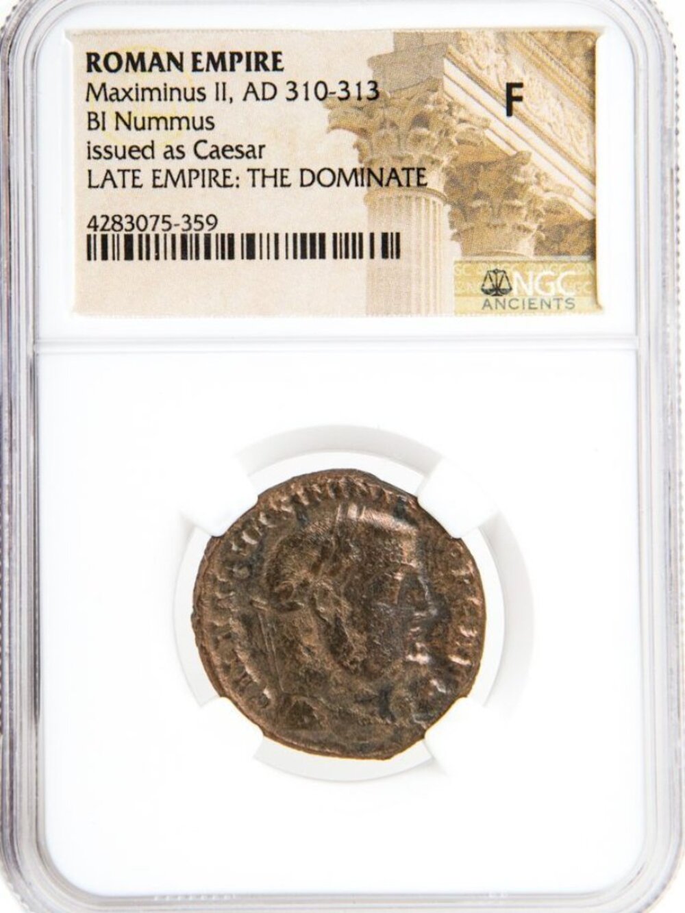 Maximinus II BI Nummus AD 310-313 NGC F Ancient Roman Coin